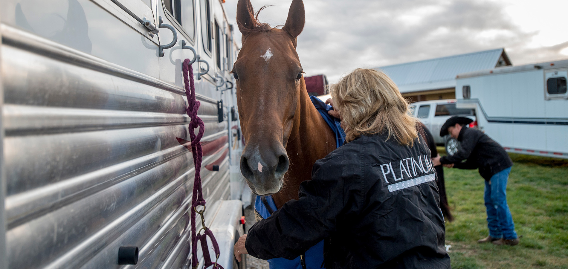 horse and handlers preparing for travel