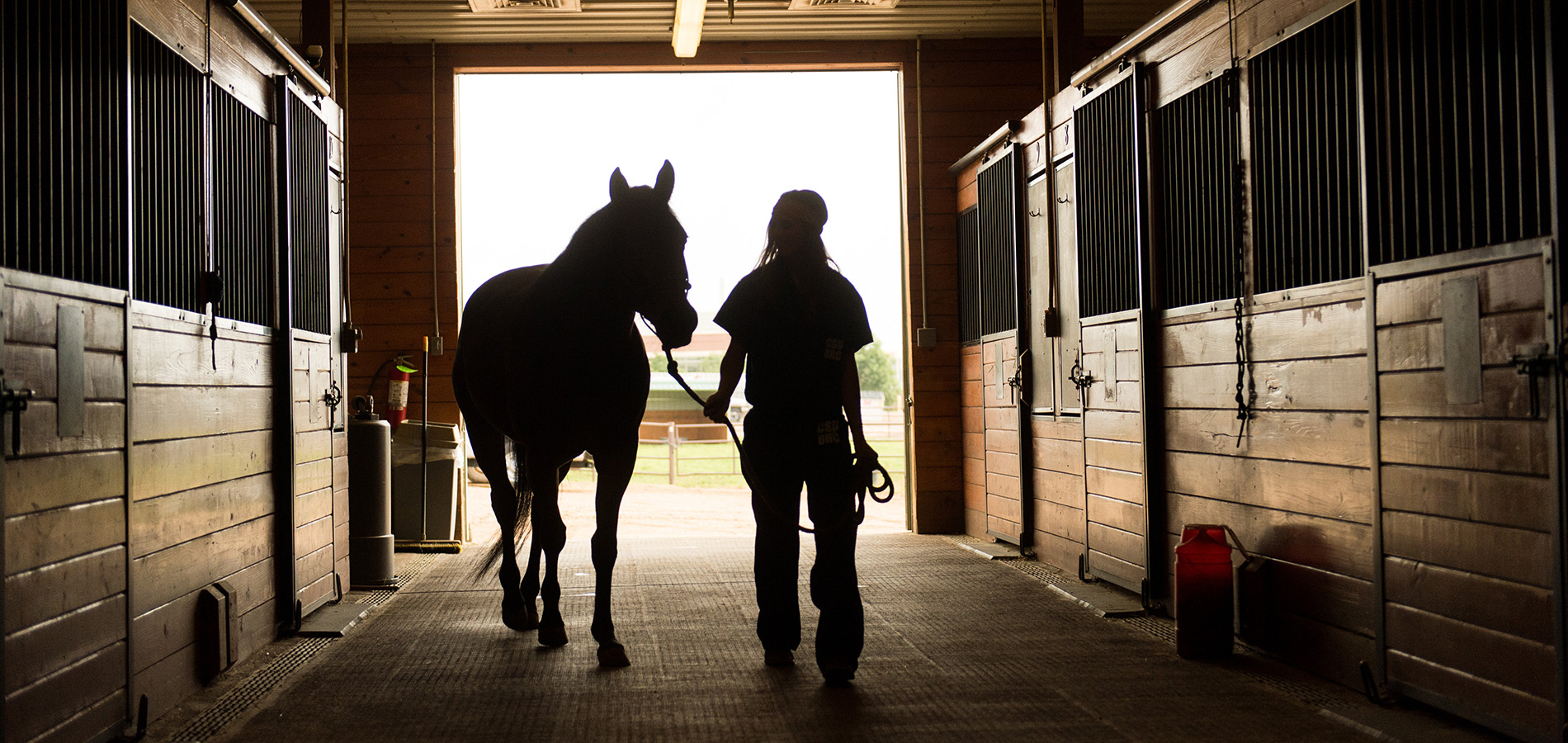 Horse and handler in a barn