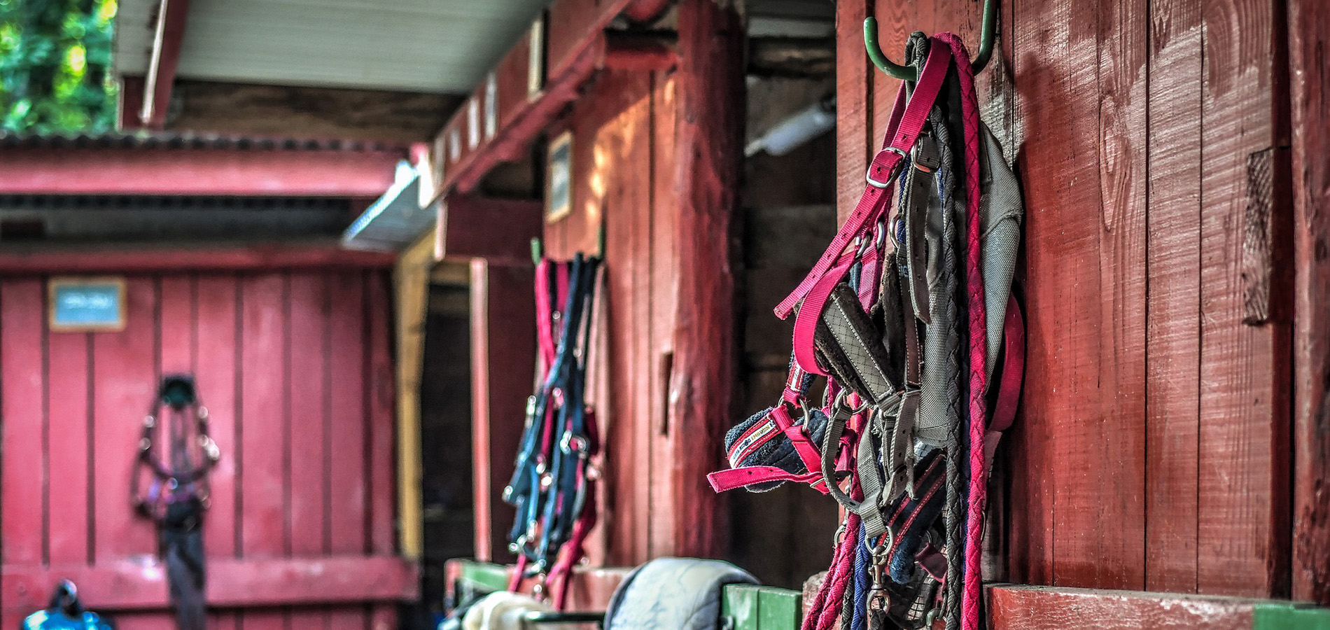 Horse barn and horse riding gear